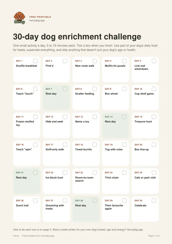 Preview of 30-day dog enrichment challenge